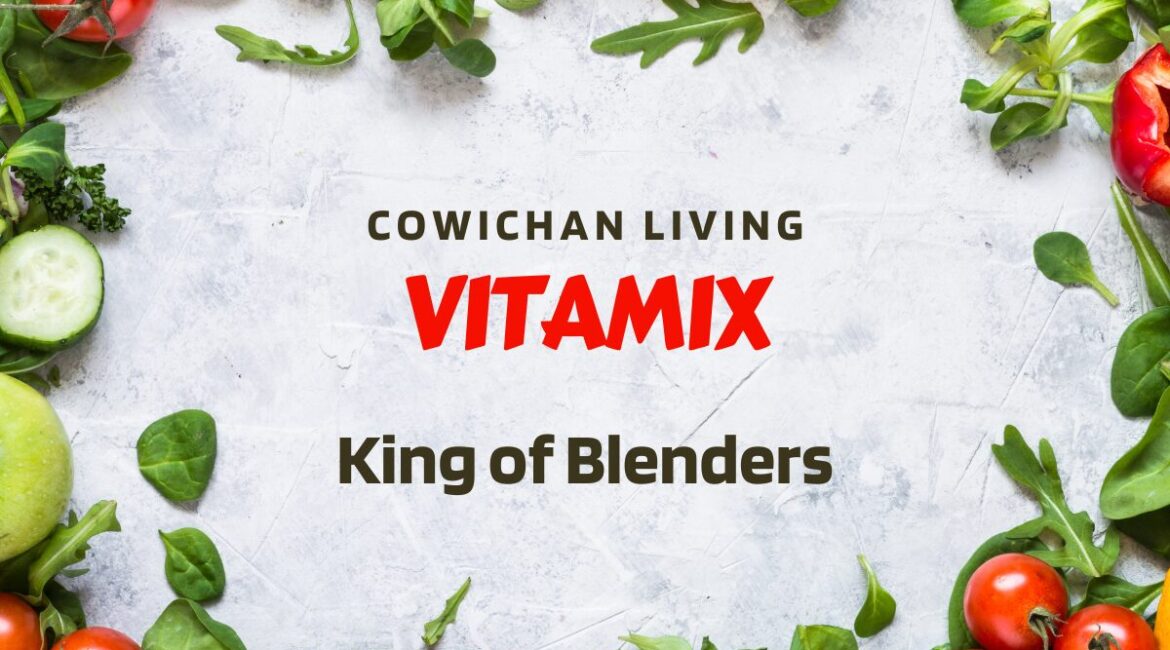 Vitamix Blender