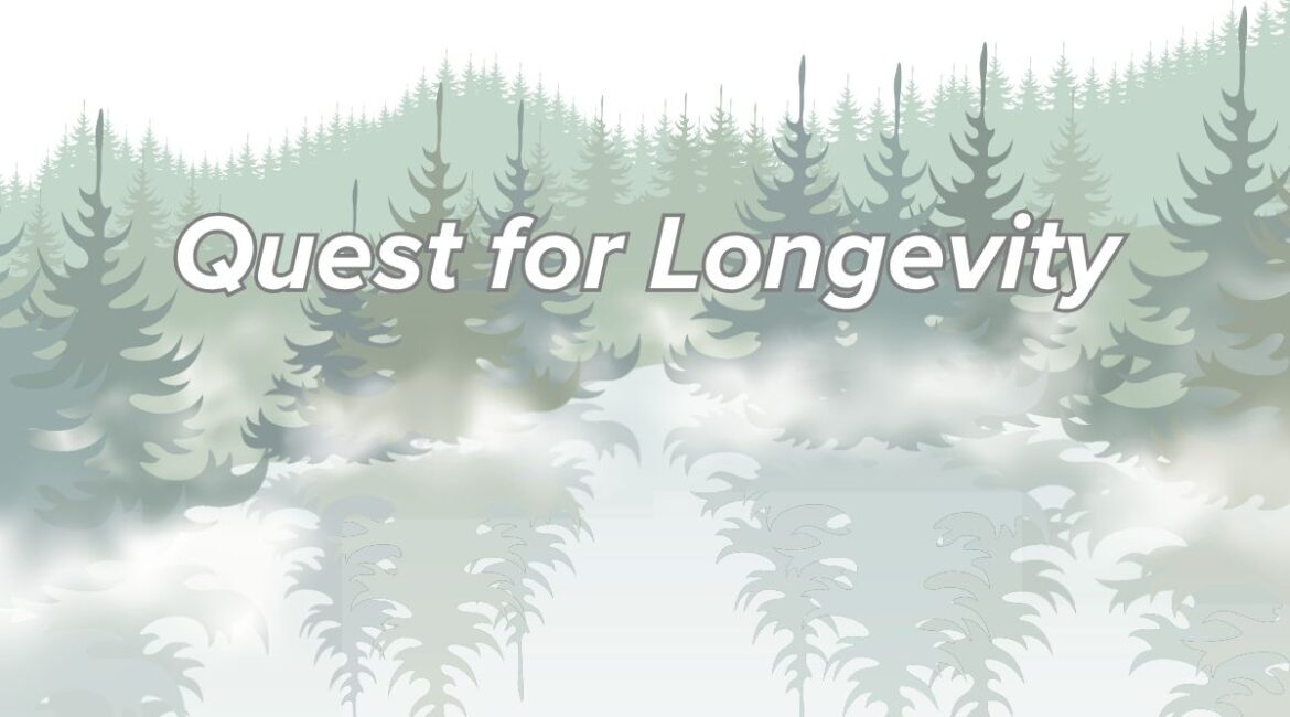 Quest for Longevity