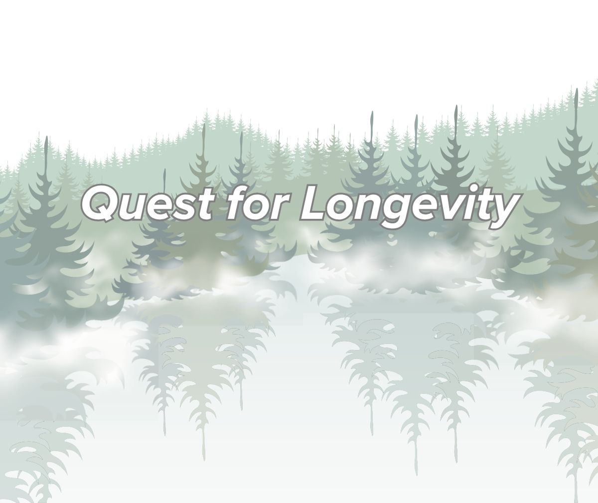 Quest for Longevity