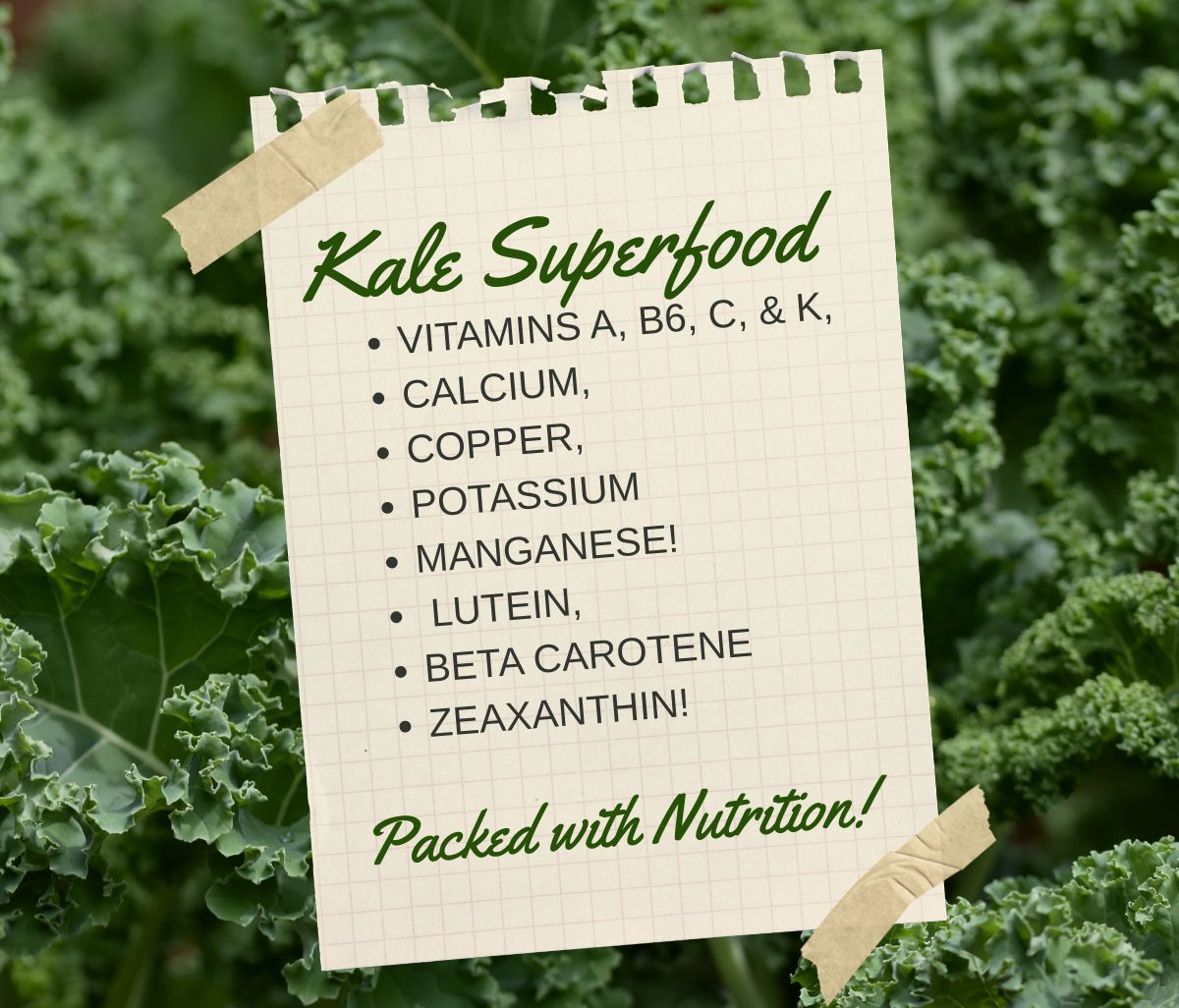 Kale the King of Vegetables