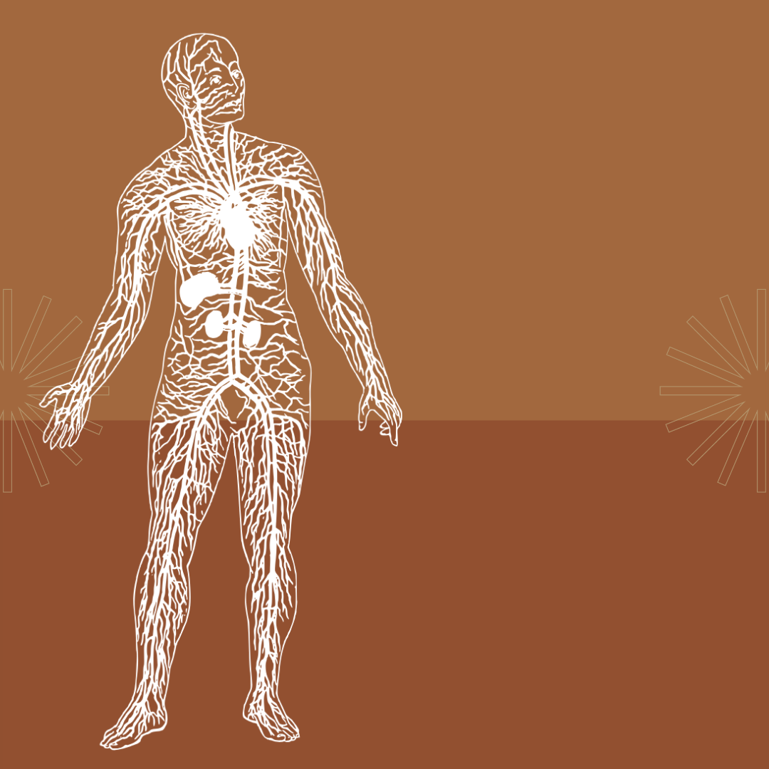 Lymphatic Skin Brushing